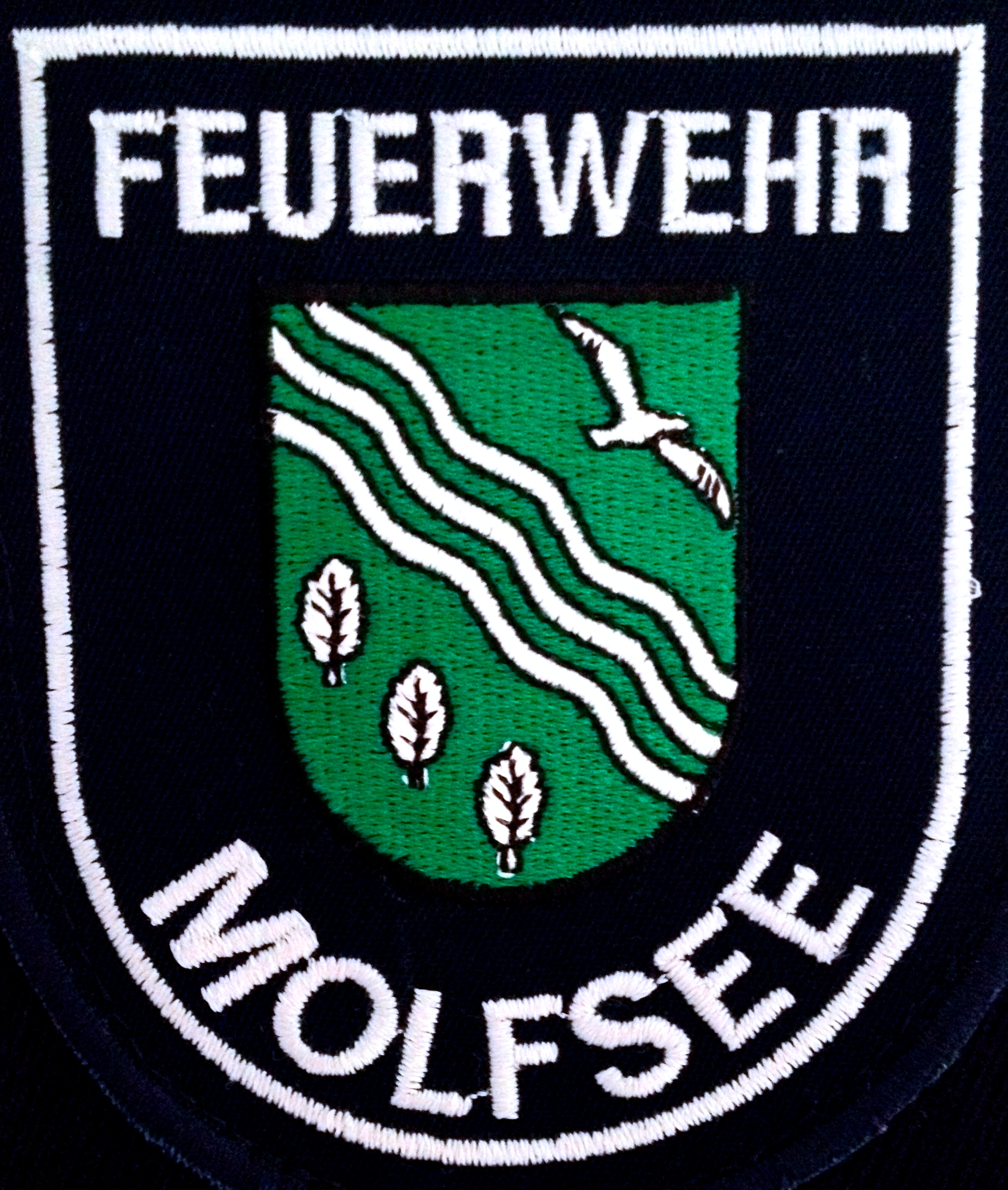 Logo Bild