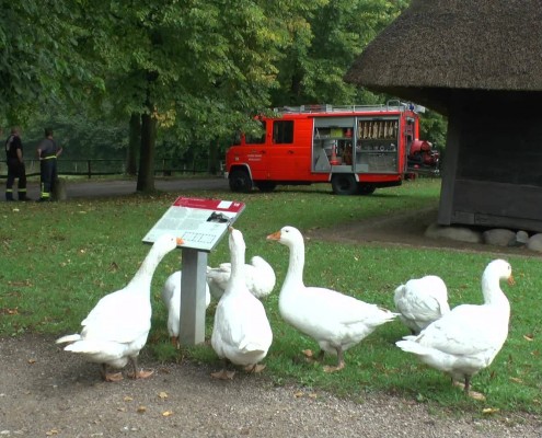 Feuerwehr Molfsee im Museum